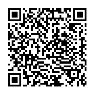 关于你和我爸签订的那份什么结婚协议书我也不会要你的一丁点股份二维码生成