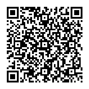 关于农转非和城市住房制度联动这两项工作也在夏力行回来主持会议之后正式确定启动起来二维码生成