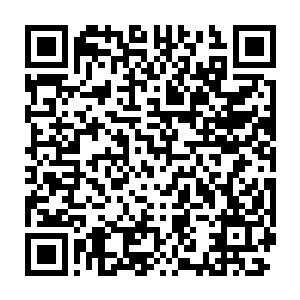 关于冰原巨熊部落和彼得这次挥兵艾斯基尔城的各种原因和可能性二维码生成