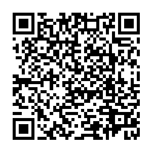 关于墨子阮忽然惊天逆转杀死了亲娘这件事注定会吸引很多人探究的怀疑二维码生成