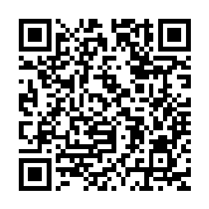 关于自身和这个世界的信息以近乎完美的方式排列组合到了一起二维码生成