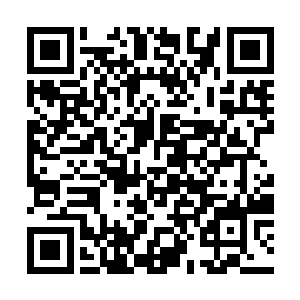 关注起~點公众号微信添加朋友添加公众号输入dd即可二维码生成