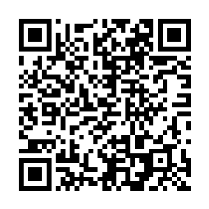 关注起~點公众号微信添加朋友添加公众号输入ddxiaos惑即可二维码生成