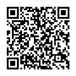 关键时刻可是有大用的……索性就让他留在血魔窟的废墟中养伤二维码生成