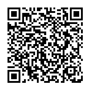 其中一只会从滚圆硕大的肚子内吐出一种坚韧细长的丝状物把猎物牢牢束缚二维码生成