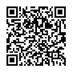其中包括在今年之内要在中央级和省级上媒体上做几次宣传二维码生成
