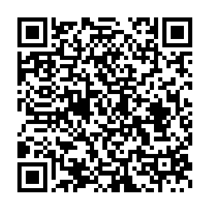 其中多数人不懂电影制作不懂学术理论不懂艺术美学不懂何为理性二维码生成