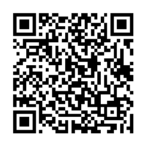 其中左手化为了和枭龙近防炮一模一样的十一根炮管二维码生成