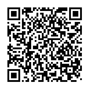 其中得自曲老二的万鬼录功法以及从轻罗公子手中得到的九莲宗功法二维码生成