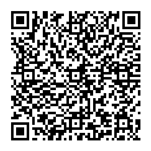 其中最主要的一味调料是他用翅碱蓬种子炒熟磨碎加兽油加盐做成的伪芝麻酱――作为华夏人二维码生成