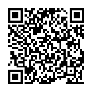 其中有一支打算从斩羽部外围的斩羽沼泽一路走二维码生成