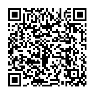 其中杨凌等人带着战斗录像和一些证据前往赏金工会总部交接任务二维码生成