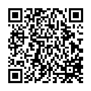 其中甚至有一些家族或是宗派的实力并不比哈利多家族弱上几分二维码生成