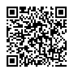 其中甚至有上百支的全效药剂――还有几件勒布收藏的盔甲二维码生成