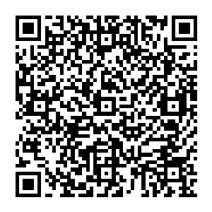 其中第一个对比的图片样本就是那瓶酵母菌在变异进化前后在显微镜效果下的酵母菌的个体图样二维码生成