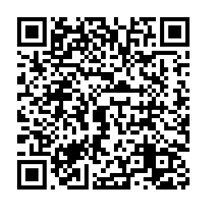 其中需要付出极大的代价才能熬过来的……再从宗师级跨越到大宗师级二维码生成