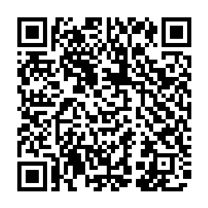 其仅仅动用数十名九龙卫就可以轻松完成清洗安迪城数十个权贵家族的任务二维码生成