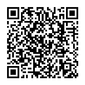 其他几个红衣主教自然是不会和奥尔夫一样对教皇会如此的充满狂热的二维码生成