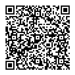 其他势力的修士也在争抢朱雀但他们畏惧火焰只敢在表层飞行不敢深入尤其是鬼修属性天生就和朱雀相互压制二维码生成
