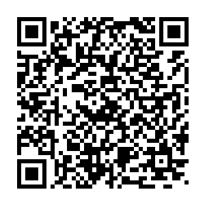 其他大部分意识占据了这里的生命的炮灰们还有琴瑟色他们以及孟家人二维码生成