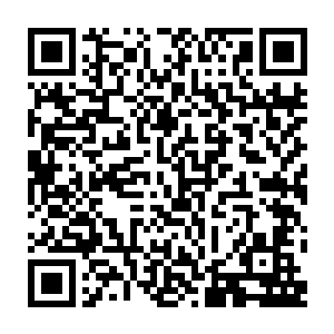 其他武装力量也对我们很防范……您看能不能您到穆斯林地区给我们也牵牵线二维码生成