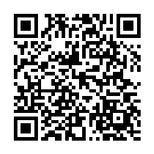 其他每一个在夏季赛上的出场率都是可以在自己位置上排到前几二维码生成