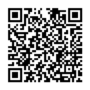 其他的一些证据根本不足以消除在家族中产生的那些舆论和动荡二维码生成