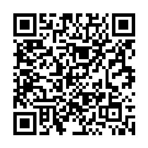 其他的佣兵也在林锐行动的时候纷纷在展开了袭击二维码生成