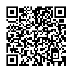 其他的教练们也都是一个表情――刚刚从震惊中回过神来的表情二维码生成