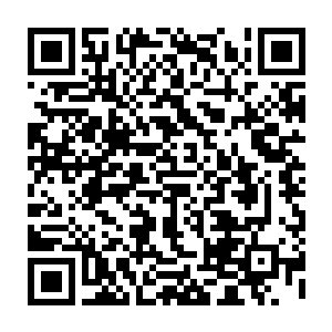 其余南岛一街的二十四大侍卫长整体实力也比咱们东岛一街十八侍卫长要强二维码生成