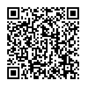 其余的人身子都微微颤抖……似乎有一种无形的精神威压碾压着他们二维码生成