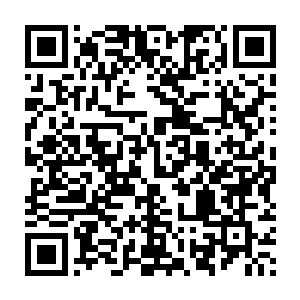 其内记载着一位上古时代曾在天洲大陆修炼的大能前辈的传承功法二维码生成