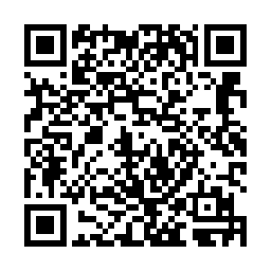 其在互连网上的热度远远超过了历史上的任何一项记录二维码生成