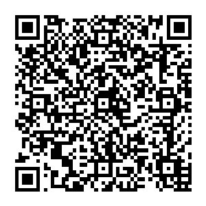 其它你不用担心 需要多少灵石 你统统跟我说 三日之后你在归元城外渡劫 我亲自为你护法 二维码生成