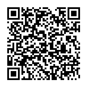 其实……原主之所以在那样冷漠的家庭苦苦熬着都没有真正狠下心离婚二维码生成