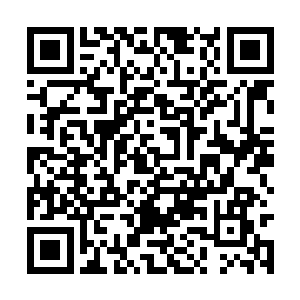 其实……我……不想……当……武林……至尊……二维码生成