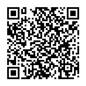 其实……我在夜门里安排黑甲的最根本的原因是……我想要让他们当我的武器二维码生成