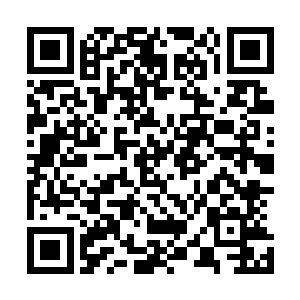 其实一开始司慕并没有意识到这是一份多么珍贵的信赖信任二维码生成