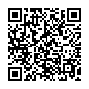 其实东黎墨早就为白芷璃准备了一堆的衣服在自己的房间里面了二维码生成