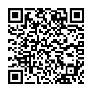 其实主要是梓箐一直都是直接从免费任务列表中选取的任务二维码生成