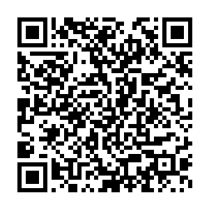 其实也一如既往和叶君一样让人有安全感……只是少了男修那种侵略性二维码生成