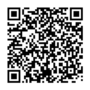 其实他们聚焦的核心焦点也就是雨果没有接受一千五百万美元片酬出演大制作二维码生成