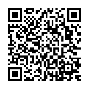 其实他们虽然口口声声说是白羽门的人杀害了他们苍云派的弟子二维码生成