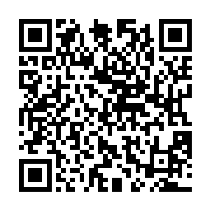 其实他已经帮自己挽回自己本体世界里的父母的生活了二维码生成