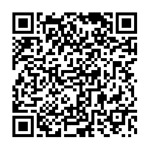 其实他早就忘记了在周陵里有没有和她就宝藏的分配达成过某种协议二维码生成