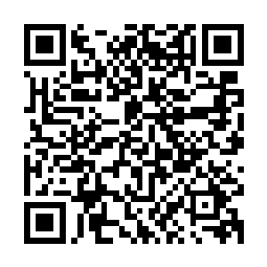 其实他的结局在他作那个令她生气的决定的时候就已经注定好了二维码生成