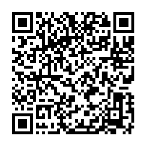 其实到现在为止雷欢喜压根连雅培州长长的什么样的都没有看到过二维码生成