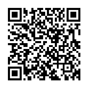 其实前几天华夏五大家族之一的宋家公子宋子杰一直在追林小楠二维码生成