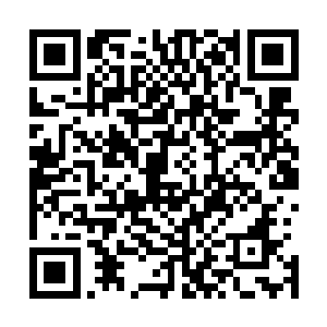 其实只是他们在退出原梦战场的时候留在了帝王神壁上而已二维码生成