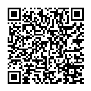 其实在刚才太子便有些担心放在袖子口袋里的那封信会不会被墨水染到二维码生成